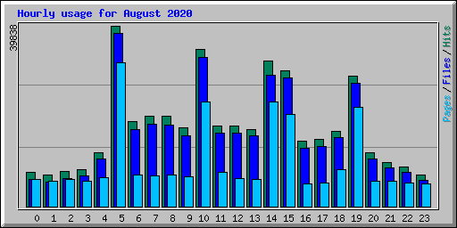 Hourly usage for August 2020