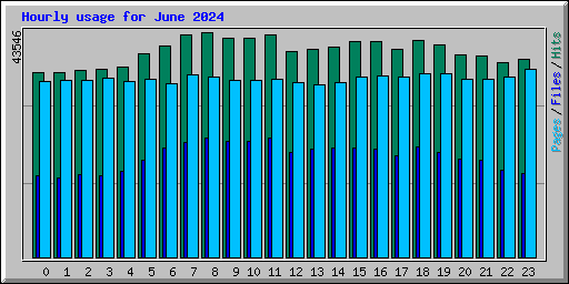 Hourly usage for June 2024