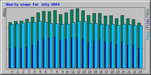 Hourly usage for July 2024