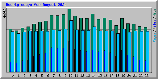 Hourly usage for August 2024