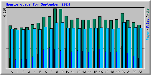 Hourly usage for September 2024