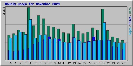 Hourly usage for November 2024